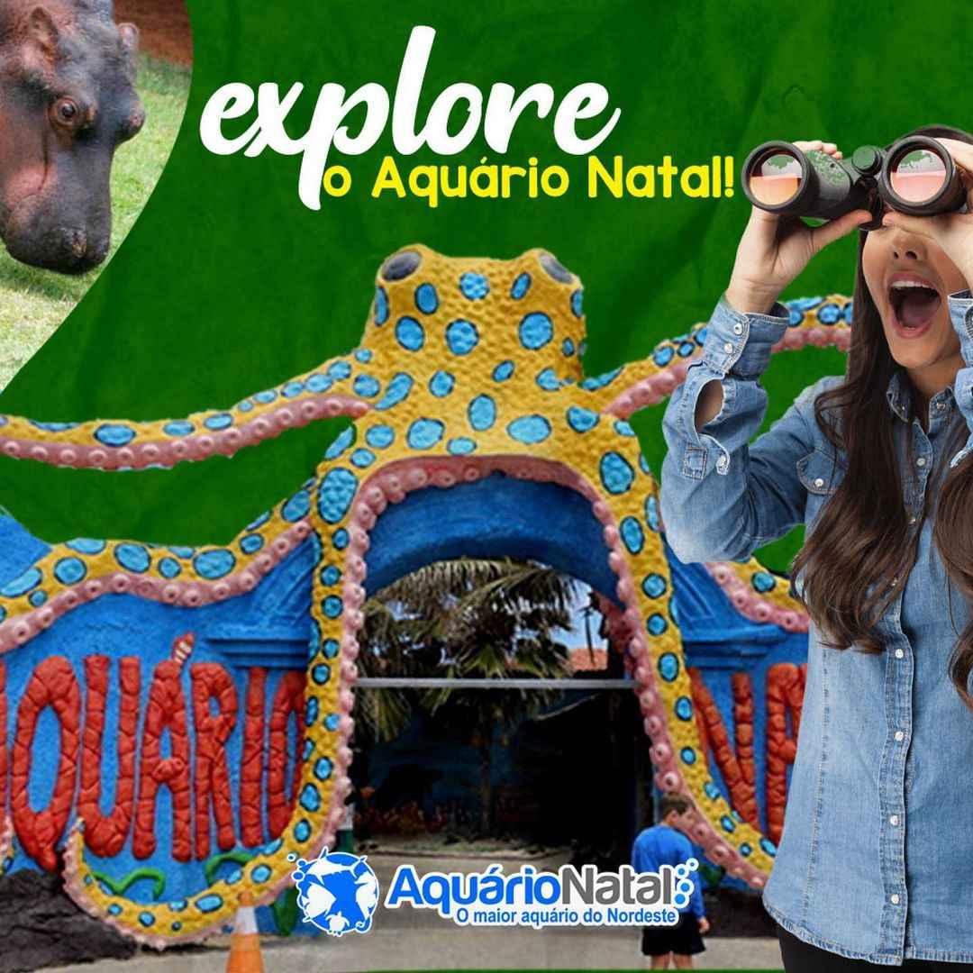 Explore nosso aquário e conheça os animais