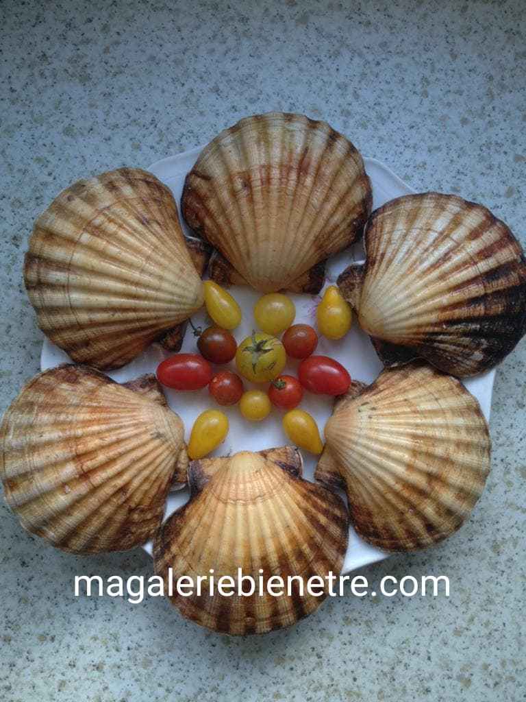 Recette De Coquilles St Jacques Sur Fondue De Poireaux