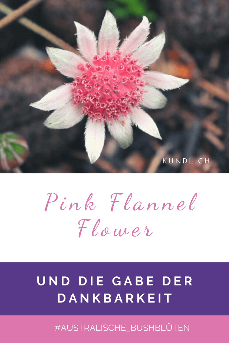 pink-flannel-flower-pinterest