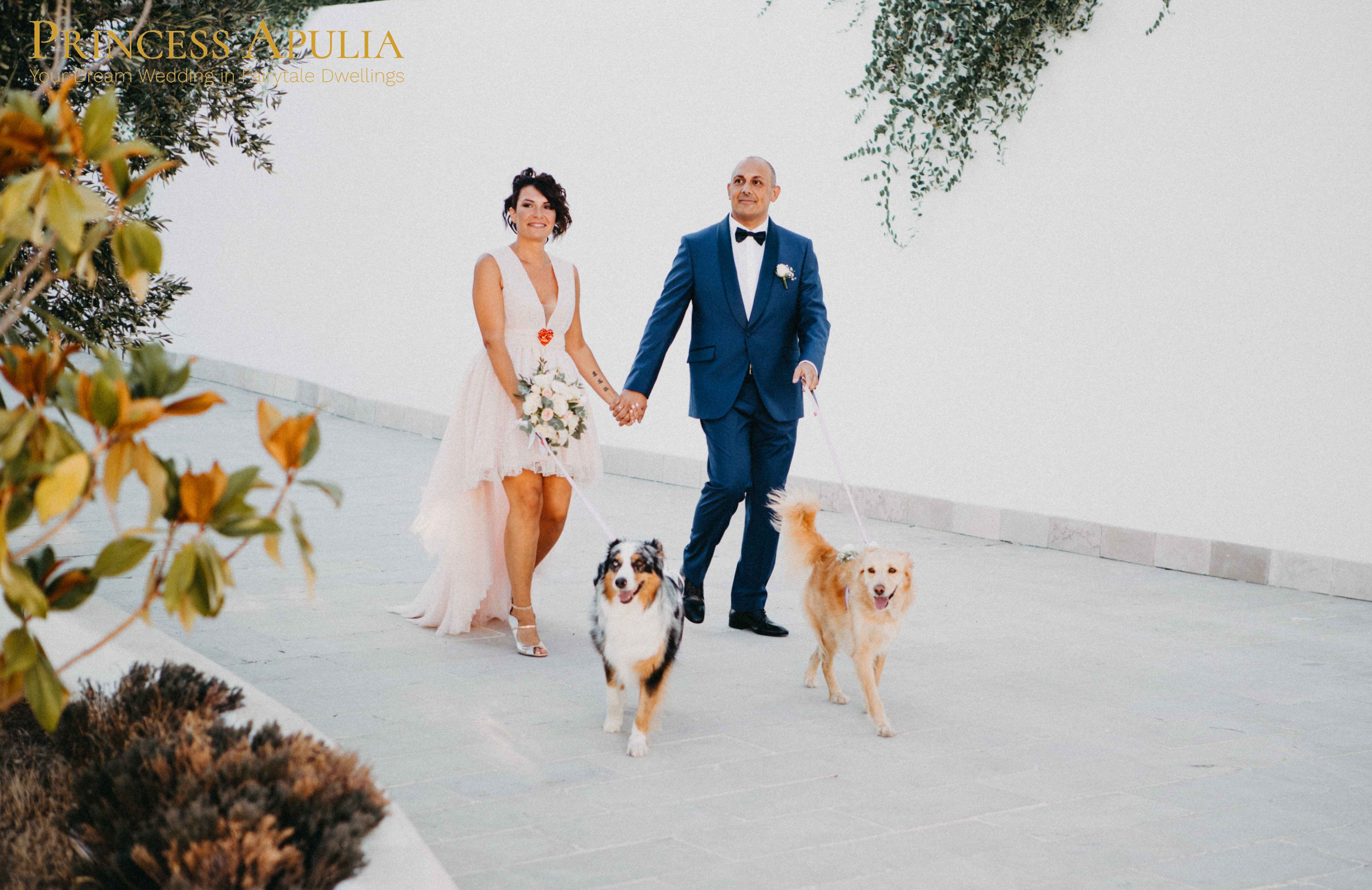 wedding with dog