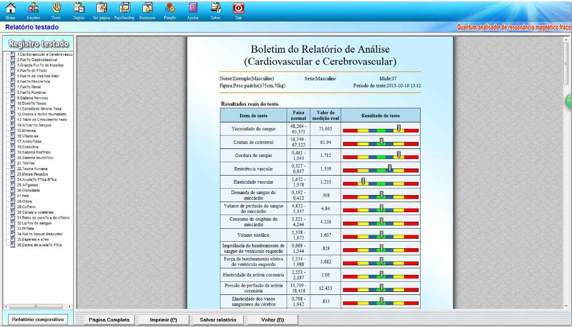 CONSULTAS Bioressonância Magnética + O guia da Alma São Martinho