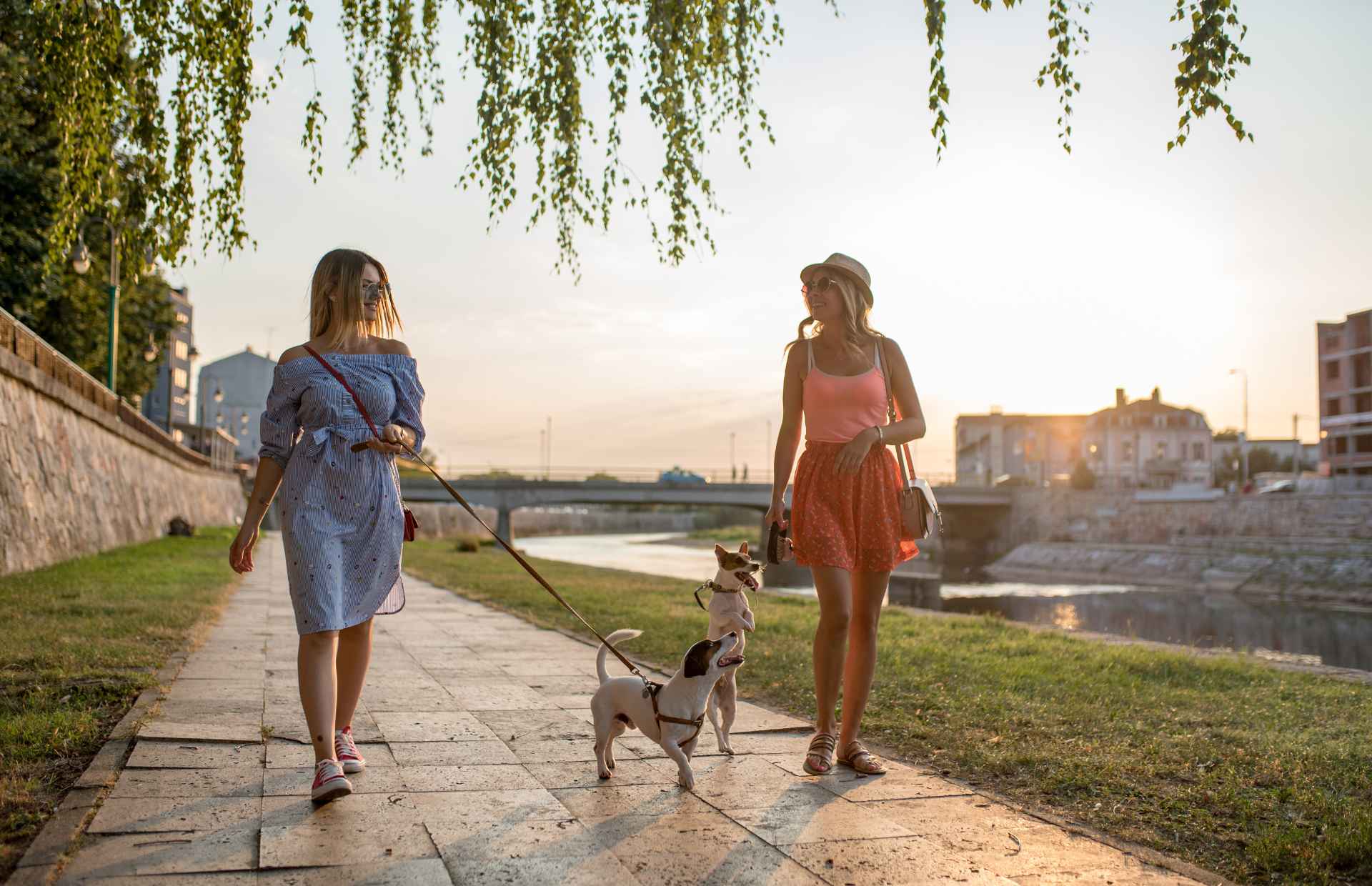 two friends walking together along the river