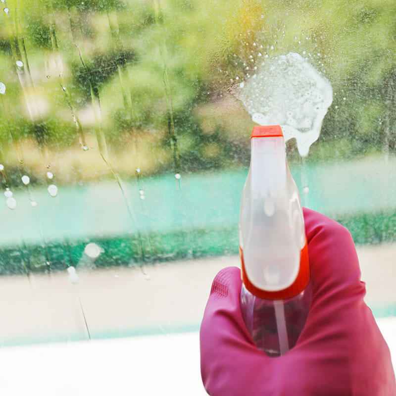 DESINTOXIQUE SUA CASA