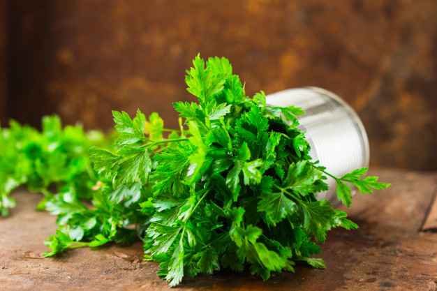 ELIMINE METAIS PESADOS COM COENTRO