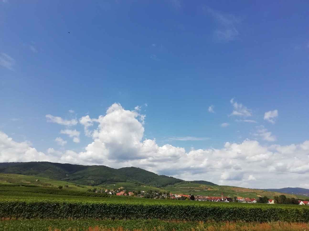 amelioration sur colmar comparaison observation et prevision meteo cumulus